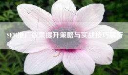 SEM推广效果提升策略与实战技巧解析