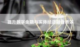 提升数字金融与实体经济融合质效