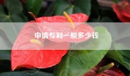 申请专利一般多少钱