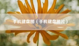 手机键盘图（手机键盘图片）