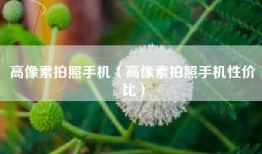 高像素拍照手机（高像素拍照手机性价比）