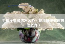 手机没有微信怎么办（我手机没有微信怎么办）