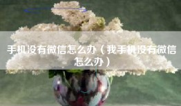 手机没有微信怎么办（我手机没有微信怎么办）