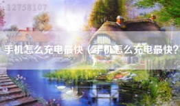 手机怎么充电最快(手机怎么充电最快?)