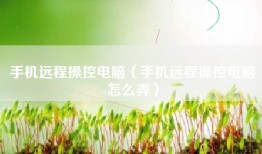 手机远程操控电脑（手机远程操控电脑怎么弄）
