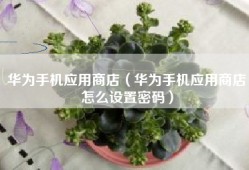 华为手机应用商店（华为手机应用商店怎么设置密码）