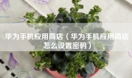 华为手机应用商店（华为手机应用商店怎么设置密码）