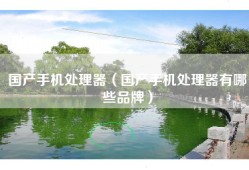 国产手机处理器（国产手机处理器有哪些品牌）