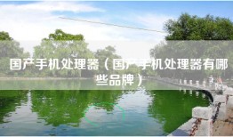 国产手机处理器（国产手机处理器有哪些品牌）