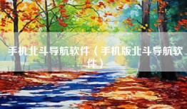手机北斗导航软件（手机版北斗导航软件）