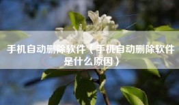 手机自动删除软件（手机自动删除软件是什么原因）