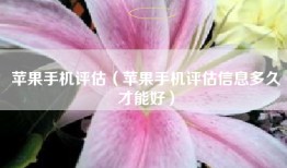 苹果手机评估（苹果手机评估信息多久才能好）