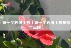 第一个触屏手机（第一个触屏手机是哪个品牌）