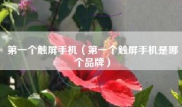 第一个触屏手机（第一个触屏手机是哪个品牌）