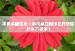 手机桌面图标（手机桌面图标怎样隐藏起来不显示）