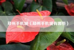 郑州手机城（郑州手机城有哪些）