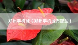 郑州手机城（郑州手机城有哪些）