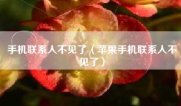 手机联系人不见了（苹果手机联系人不见了）