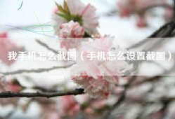 我手机怎么截图（手机怎么设置截图）