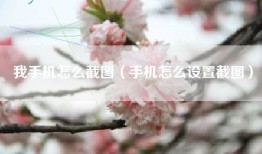 我手机怎么截图（手机怎么设置截图）