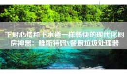 下厨心情和下水道一样畅快的现代化厨房神器：唯斯特姆X餐厨垃圾处理器