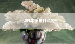 AI的本质是什么？