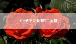 小程序如何推广运营