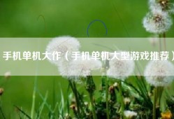 手机单机大作（手机单机大型游戏推荐）