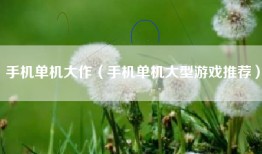 手机单机大作（手机单机大型游戏推荐）