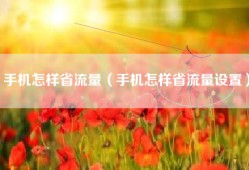 手机怎样省流量（手机怎样省流量设置）
