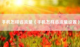 手机怎样省流量（手机怎样省流量设置）