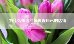 为什么微信的位置没自己的店铺