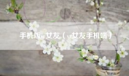 手机版vr女友（vr女友手机端）