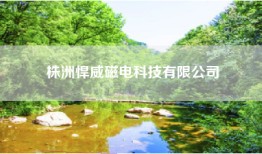 株洲悍威磁电科技有限公司