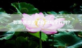 如果借条丢了自己写个行吗？
