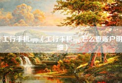 工行手机app（工行手机app怎么查账户明细）