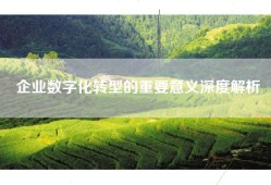 企业数字化转型的重要意义深度解析
