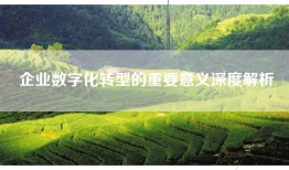 企业数字化转型的重要意义深度解析
