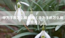 华为手机怎么截长图（华为手机怎么截长图片）