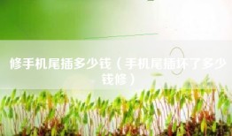 修手机尾插多少钱（手机尾插坏了多少钱修）