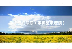 手机壁纸禁忌（手机壁纸谨慎）