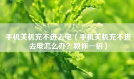 手机关机充不进去电（手机关机充不进去电怎么办？教你一招）