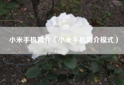 小米手机简介（小米手机简介模式）