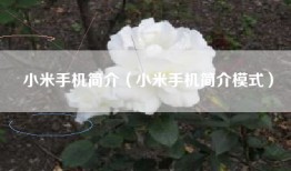 小米手机简介（小米手机简介模式）