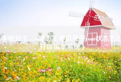 手机处于root状态（手机处于root状态怎么升级版本系统）