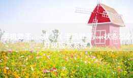 手机处于root状态（手机处于root状态怎么升级版本系统）