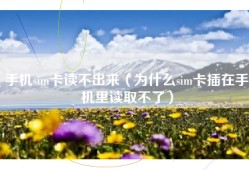 手机sim卡读不出来（为什么sim卡插在手机里读取不了）