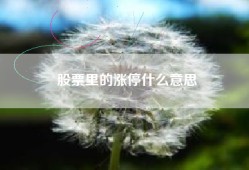 股票里的涨停什么意思