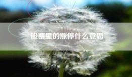 股票里的涨停什么意思
