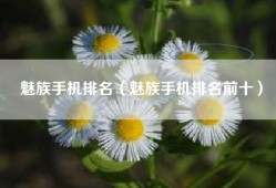 魅族手机排名（魅族手机排名前十）